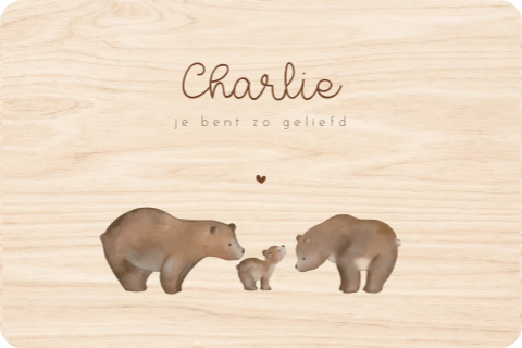 Memorybox met berenfamilie