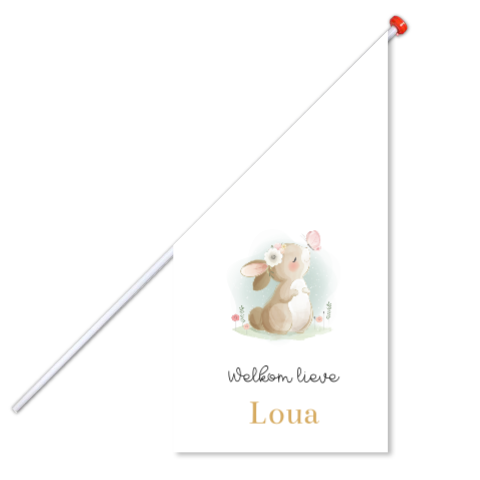 Lieve geboortevlag voor meisje met konijntje