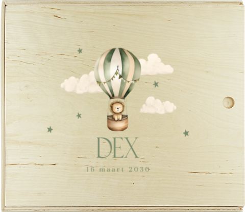 Presentatie doos met luchtballon en leeuwtje