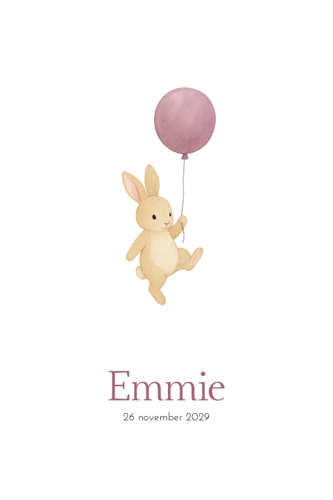 Geboortekaartje meisje lief konijntje vliegend ballon