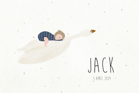 Geboortekaartje illustratie baby jongen gans