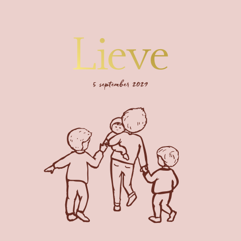 Geboortekaartje meisje lijntekening drie broers zusje