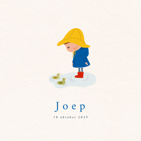 Geboortekaartje jongen eendjes