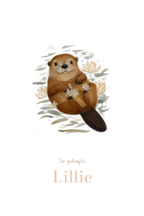 Geboortekaartje meisje zeeotter lelie