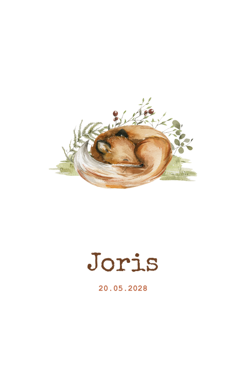 Geboortekaartje illustratie aquarel slapende vos