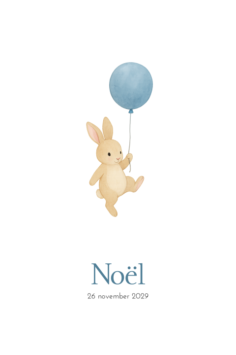 Geboortekaartje jongen lief konijntje vliegend ballon