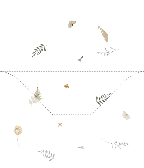 Inlay binnenkant envelop droogbloemen takjes