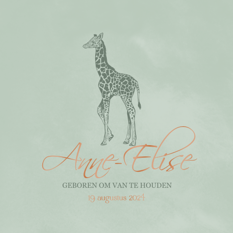 Geboortekaartje meisje met giraf en koperfolie