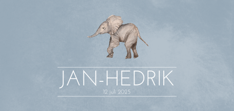 Trend geboortekaartje jongen met olifantje