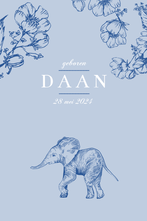 Romantisch geboortekaartje voor jongens met olifantje
