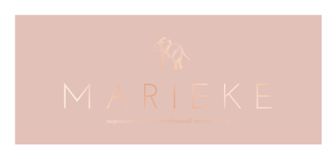 Eenvoudig geboortekaartje met roséfolie en een olifantje