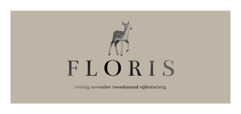 Eenvoudig geboortekaartje met zwartfolie en hertje