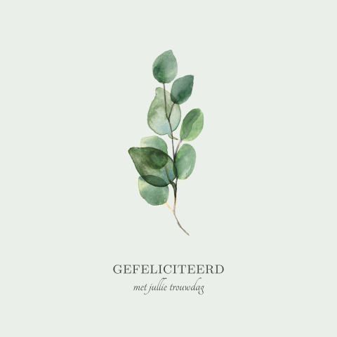 Felicitatiekaart huwelijk met eucalyptus takje
