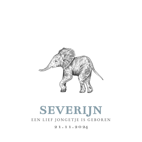 Geboortekaartje jongen met olifant en blauwe letters