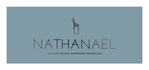 Eenvoudig geboortekaartje met zwartfolie en giraf