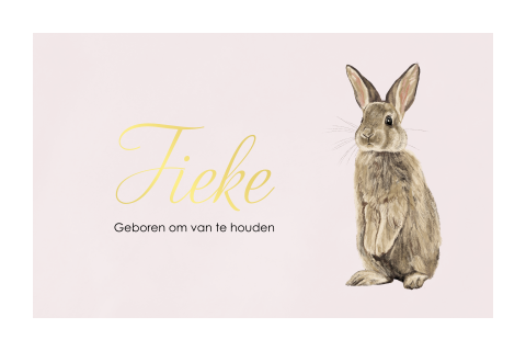 Meisjes geboortekaartje met lief konijntje en goudfolie