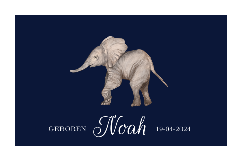 Klassiek geboortekaartje jongen met olifantje