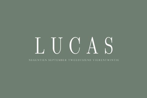 Minimalistisch geboortekaartje voor jongen in groen