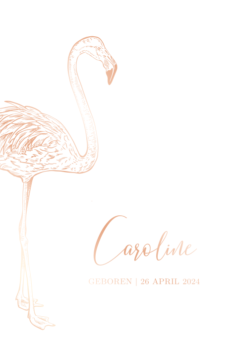 Babykaartje meisje met roséfolie en dieren