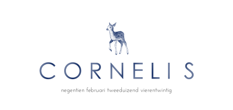 Geboortekaartje jongen met folie en hertje