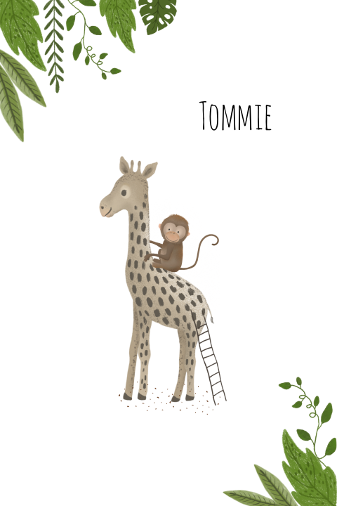 Vrolijke geboortekaart met een giraffe en aapje in de jungle