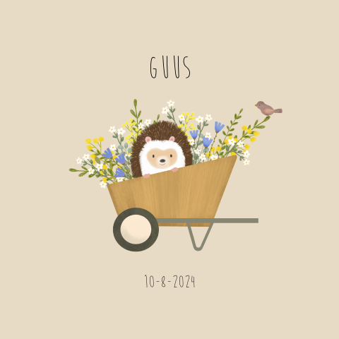 Geboortekaart zoon met egel in kruiwagen met veldbloemen