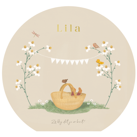 Lief rond geboortekaartje met een baby in een mandje