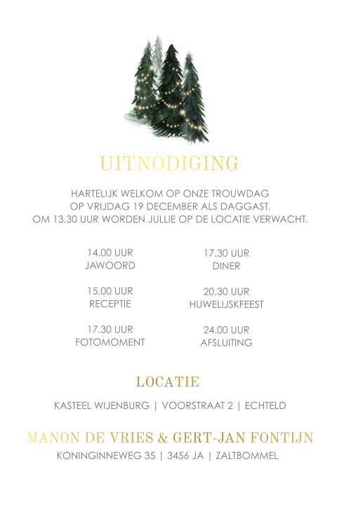 Info kaartje pocketfold goudfolie winter bruiloft  11/17 cm