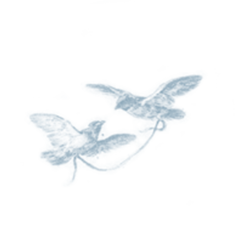 Sluitsticker met Toile de Jouy vogels