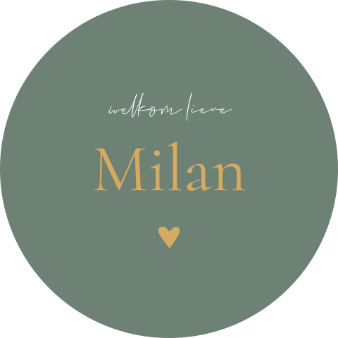 Raamsticker rond 60 cm Milan groen
