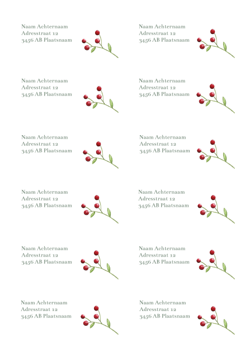 Adresstickers trouwkaart Christmas Love