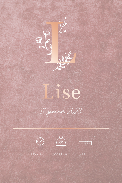 Geboorteposter meisje velvet roze - Lise