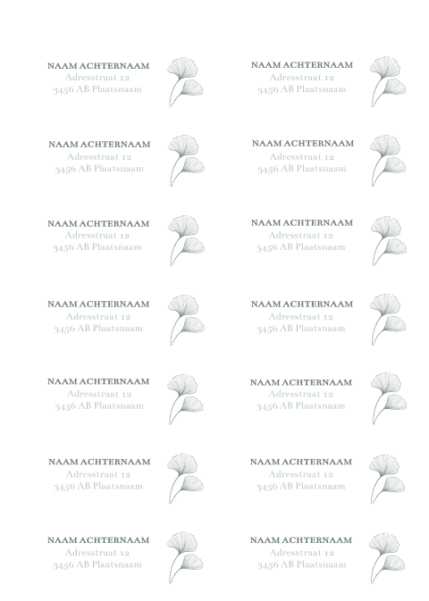 Adresstickers trouwkaart Ginkgo Love