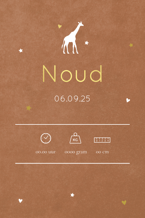 Geboorteposter jongen velvet look giraf - Noud