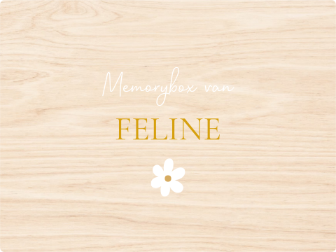 Memory box baby geboortekaartje Feline 