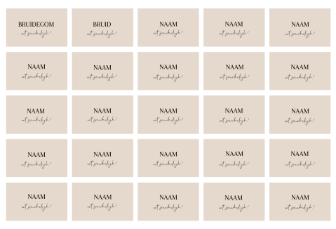 Naamkaartjes bruiloft beige klassiek - 40 stuks 8x5 cm