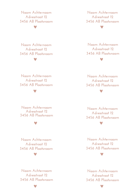Adresstickers trouwkaart Romantic Peach