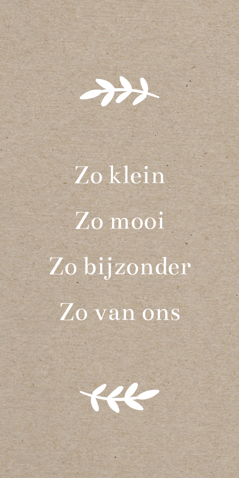 Label geboortekaartje rechthoekig, tekst & kraftlook - 10 stuks