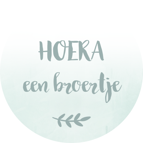 Sluitsticker geboortekaartje Lars groen watercolor hoera broertje