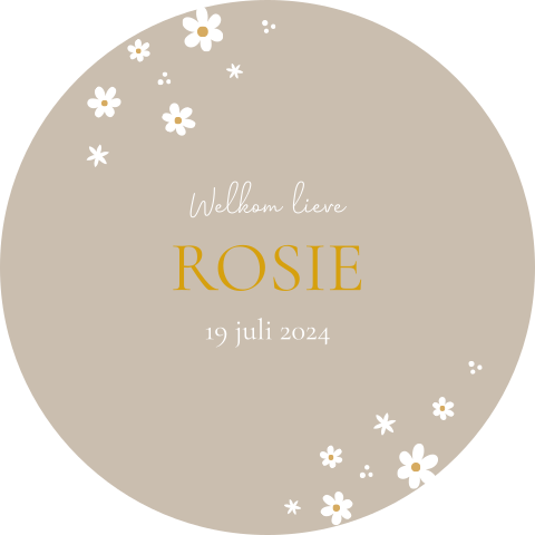 Raamsticker rond 60 cm Rosie bloemen beige