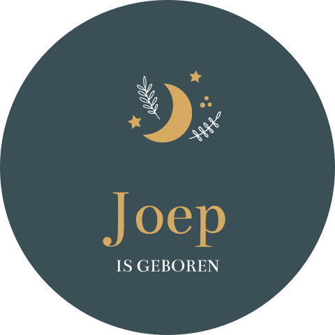 Raamsticker rond 60 cm Joep maan takjes