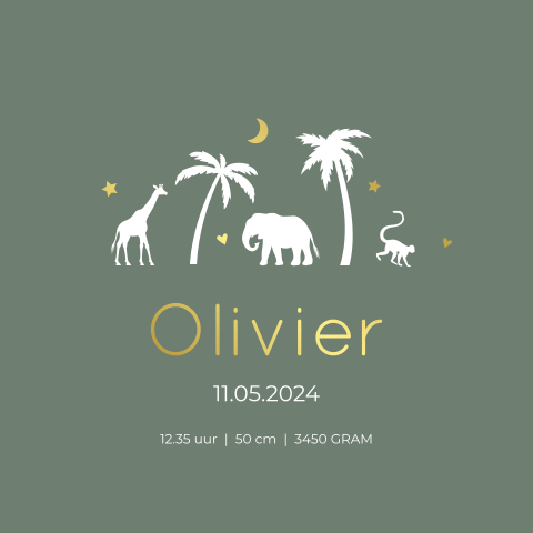 Geboorteposter jongen groen jungle dieren - Olivier