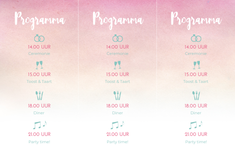 Trouwkaart programma kaartje roze watercolor met iconen
