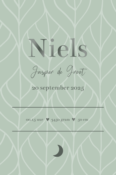 Geboorteposter jongen groen botanisch patroon - Niels