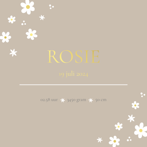 Geboorteposter meisje beige bloemen met goudfolie - Rosie