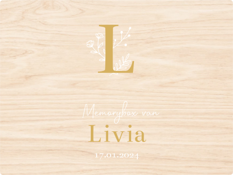 Memory box baby geboortekaartje Livia 