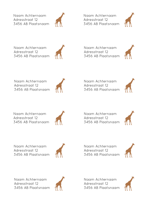 Adresstickers geboortekaartje Noud