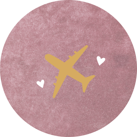 Sluitsticker geboortekaartje Esmee roze velvet look vliegtuig