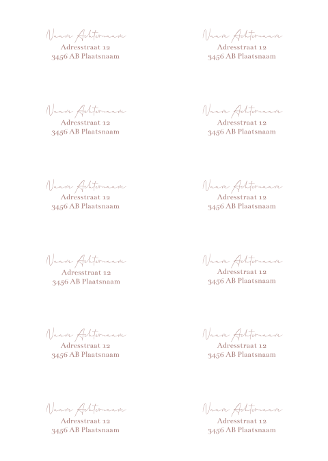 Adresstickers trouwkaart Dusty Pink