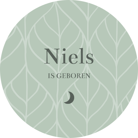 Raamsticker rond 60 cm Niels botanisch groen